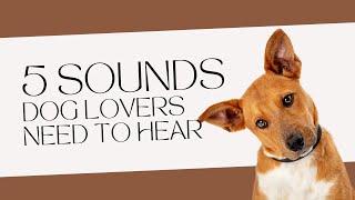 Canine Concert: 5 Must-Hear Dog Sounds for Every Dog Lover