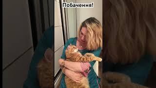 НАРЕЧЕНИЙ