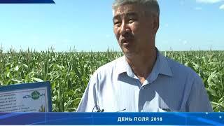 День поля: «Астана-НАН» -- завод по производству всех видов продукции для защиты растений