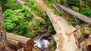 Trail Mountain Biking near Revelstoke || Mount Macpherson