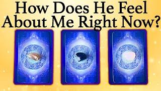 WHAT DOES HE/SHE THINK AND FEEL ABOUT ME RIGHT NOW?| Pick A Card | Love Tarot Reading (Timeless)