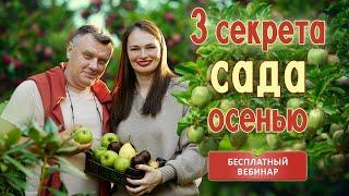 3 секрета по уходу за фруктовым садом осенью! Вебинар и презентация Фруктового курса