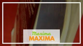 Maxima Fishing Line One Shot Spool, Chameleon