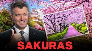 The Best Time To Visit Japan For Sakuras (An Expert's Advice) @InakaAdventure