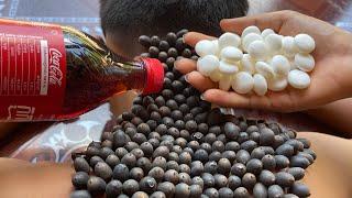 Remove giant tick on boy using Cocacola with Mentos #029