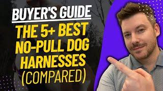 TOP 5 Best No-Pull Dog Harnesses - Best No-Pull Dog Harness Review (2024)