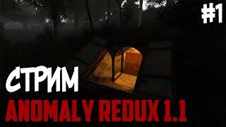 Стрим СТАЛКЕР Anomaly Redux 1.1 / Прохождение STALKER Аномали Редукс #1 / Начало