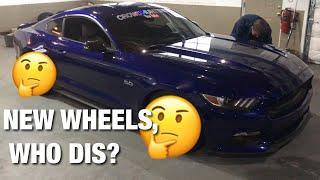 FINALLY PICKING UP THE MUSTANG! Wrapping The Lotus & MORE!