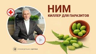 НИМ: киллер для паразитов и микробов