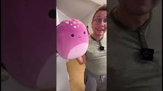 Habt ihr schon ein Squishmallow? #comedy #lustig #dailyshorts #humor #witzig