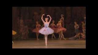 Alina Somova Queen of the Dryads Variation - Don Quixote