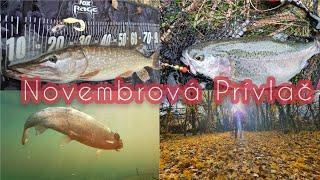 Novembrová Prívlač/Přivlač 2021/Lov Pstruha/ Lov Šťuky/ #Esox/#troutfishing / Trout & Pike Fishing