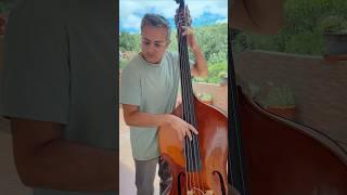 Double bass - double the groove