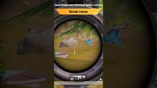 pubg mobile Highlights Heasdshots #pubgmobile #pubgm #pubgbr #pubgfunny #pubgtv