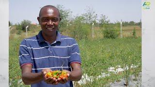 Engineer turned Farmer. It all started from passion of seeing things grow!