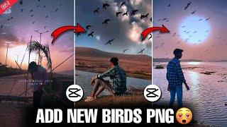 New Bird png video | Instagram Trending Reels video editing tutorial | bird png #DreamEditz01