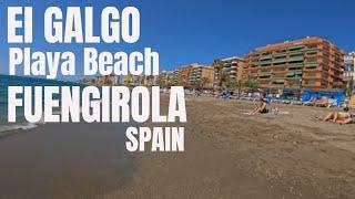 Fuengirola BEACH El GALGO Playa Spain