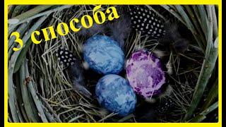 3 Способа Покраска яиц на Пасху чаем Каркаде Без Химии Painting eggs for Easter tea Hibiscus