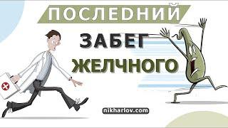 Как шестинедельный марафон лечения желчекаменной болезни избавляет от застоя в денежном пузыре.