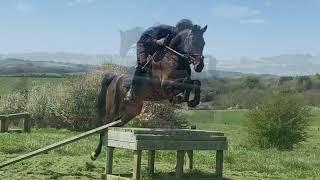 Fastnet Rock