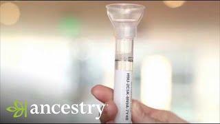 AncestryDNA | How to Submit Your AncestryDNA Sample | Ancestry