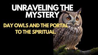 The Spiritual Meaning of Seeing an Owl in the Daytime