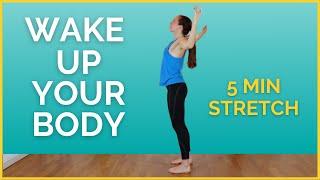 5 Minute MORNING STRETCH – Wake Up Your Whole Body!