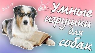 УМНЫЕ ИГРУШКИ ДЛЯ СОБАК DIY | ИГРУШКИ-ГОЛОВОЛОМКИ СВОИМИ РУКАМИ