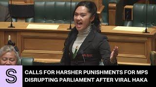 Viral haka prompts calls for harsher punishments for MPs disrupting Parliament | Stuff.co.nz