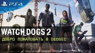 Watch Dogs 2 - БЕЗЗАКОНИЕ И ПОРЯДОК [ПРОХОЖДЕНИЕ]