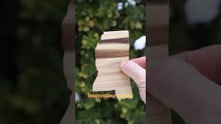 Making Mississippi out of Magnolia Wood | Official State Tree Map #shorts #trees #wood