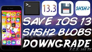 iOS 13.3 How To Save SHSH2 Blobs for UNTETHERED DOWNGRADE & Why It's VERY IMPORTANT To Save Them