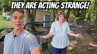 Something Isn’t Right…Even the Animals Can Feel It!