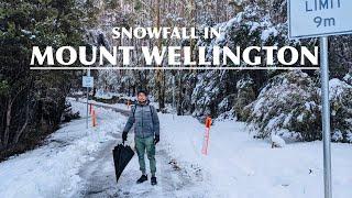 Snowfall in Mount Wellington | Hobart Tasmania