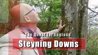The Quest For England - In Which I Clamber the Steyning Downland
