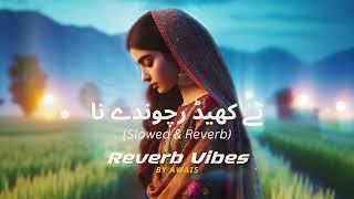 Te Khaid Rachonday Na Pyar Wdhonday Na Slowed Reverb | New Punjabi Song 2023 | Reverb Vibes By Awais