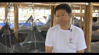 Kodama Koi Farm - Hawai‘i Dept. of Labor & Industrial Relations Superhero Campaign