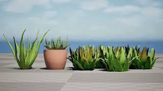 Realistic Aloe Vera Plant 3d animation with unreal