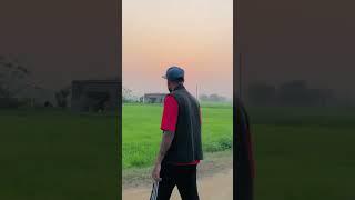 pb36 wale