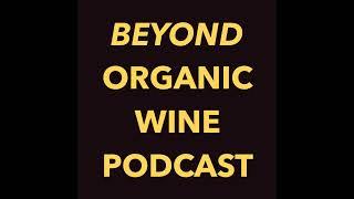 Todd Cavallo - Wild Arc Farm, Natural Piquette and Ecological Winemaking in the Hudson Valley