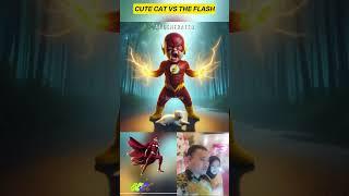 cute cat vs the flash #cat #cute #shorts