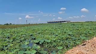 let's look Views capture around TIA, Khmer New International Airport