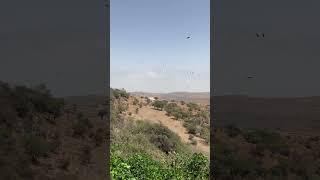 The Power of Wind #nature  #hussain