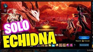 LOST ARK Echidna SOLO RAID Mechanics Guide G1-G3 - [Solo Mode Lost Ark]