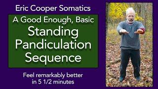 A good enough, basic Standing Somatics Pandiculation Sequence | Standing Somatics to Feel better