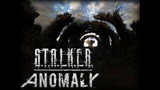 S T A L K E R  Anomaly v1 4 0 Hack