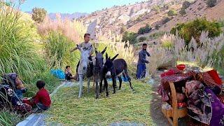 "The rise of rice spikes in the heart of the mountain"