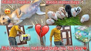 Fish Aquarium Tut Gya Pani Dalta He|| Chinki K Kitne Puppies HaiRabbits K Lea New Home Bnaye