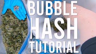 MAKING HASH: TURNING SHAKY TRIM INTO BUBBLE HASH