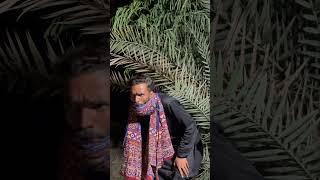 Ulti Qismat 